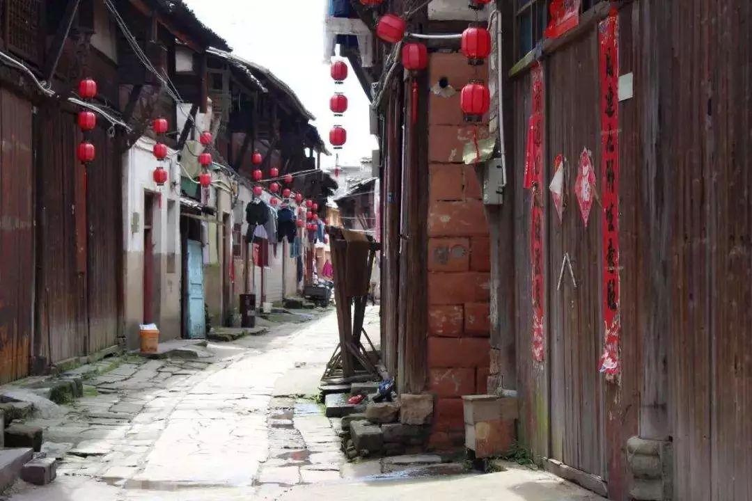 拯救树精灵